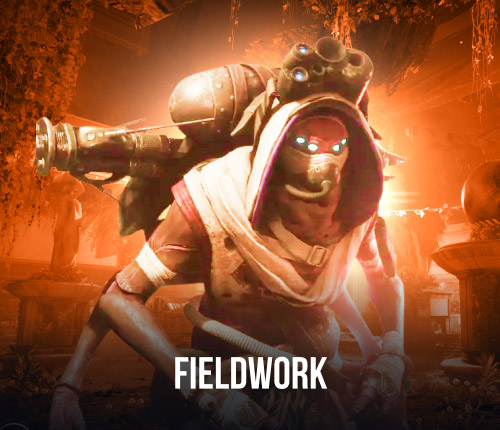 Fieldwork